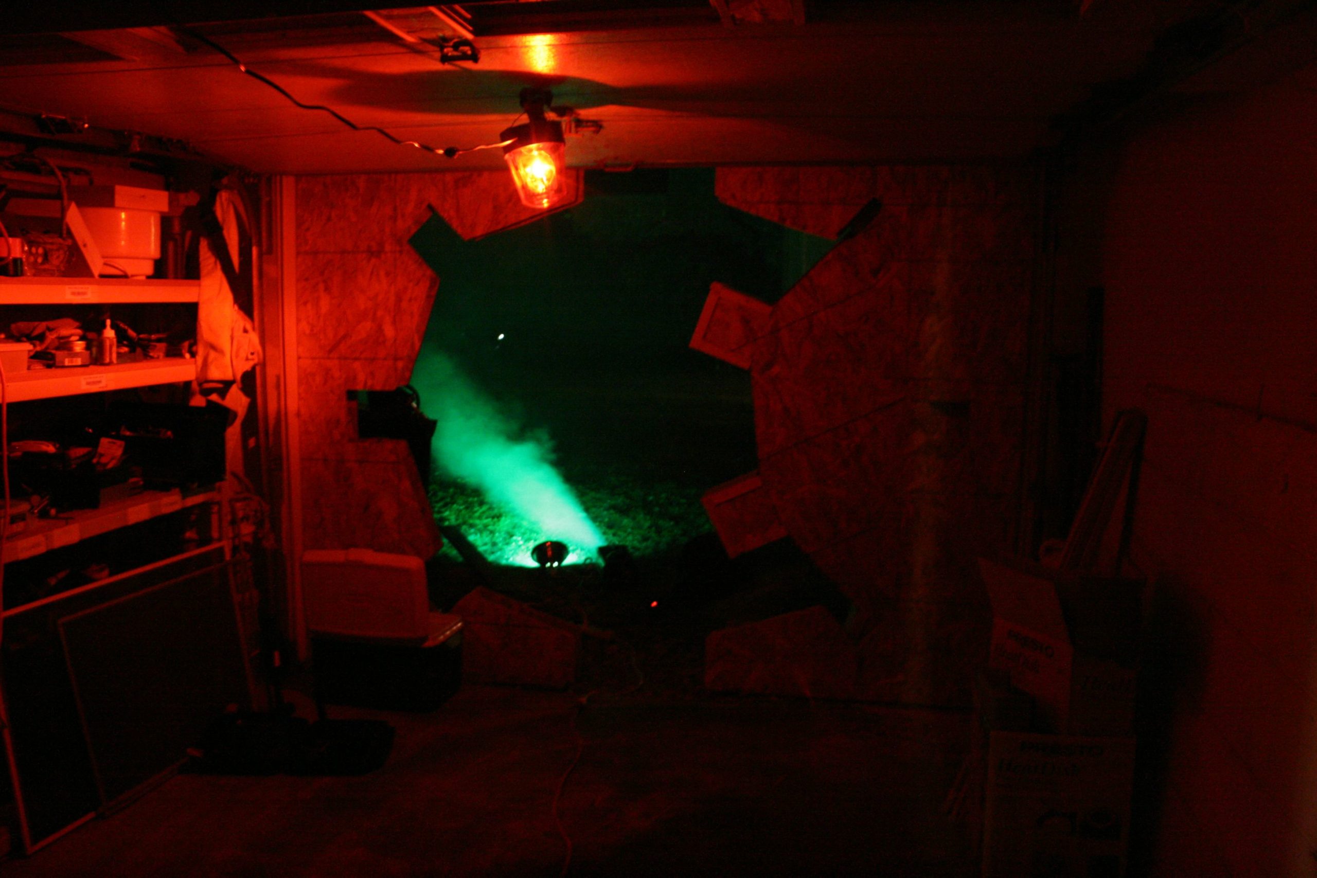 Man Turns Basement Into Fallout Vault For Birthday Party