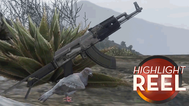 Don’t Mess With GTA V Pigeon And His Assault Rifle