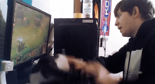 Cats Make Playing League Of Legends So Tricky
