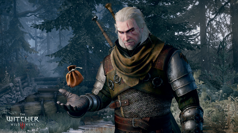 I Played The Witcher 3, And I Still Have Some Doubts