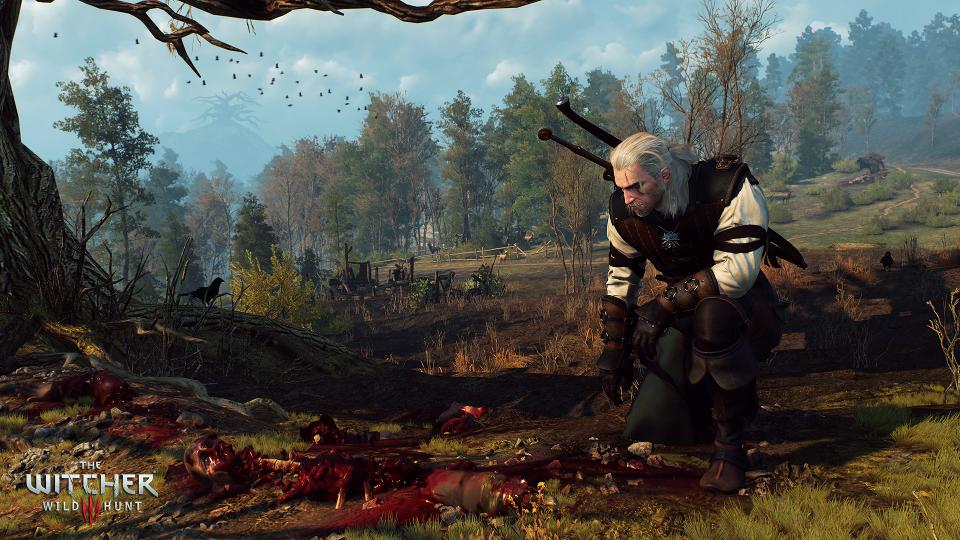 I Played The Witcher 3, And I Still Have Some Doubts