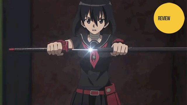 Amazingly, Akame Ga Kill Managed To Win Me Over