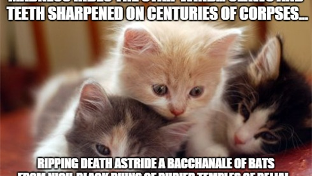 Delve Into The Hidden Horrors Of The Universe… With Kittens