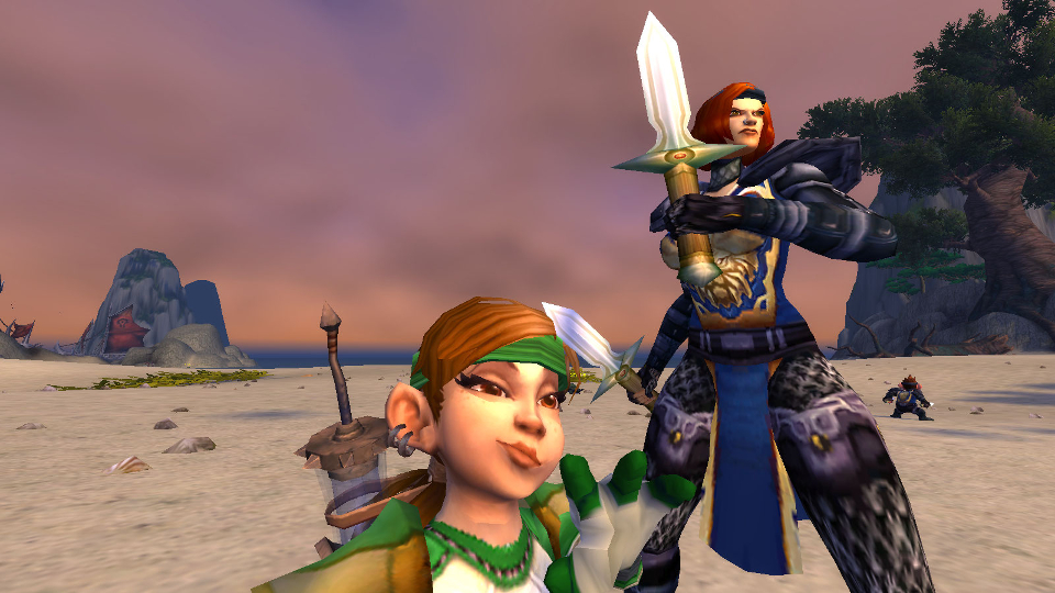 15 Great World Of Warcraft Selfies