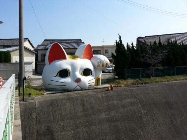 Attack On Giant Lucky Cat