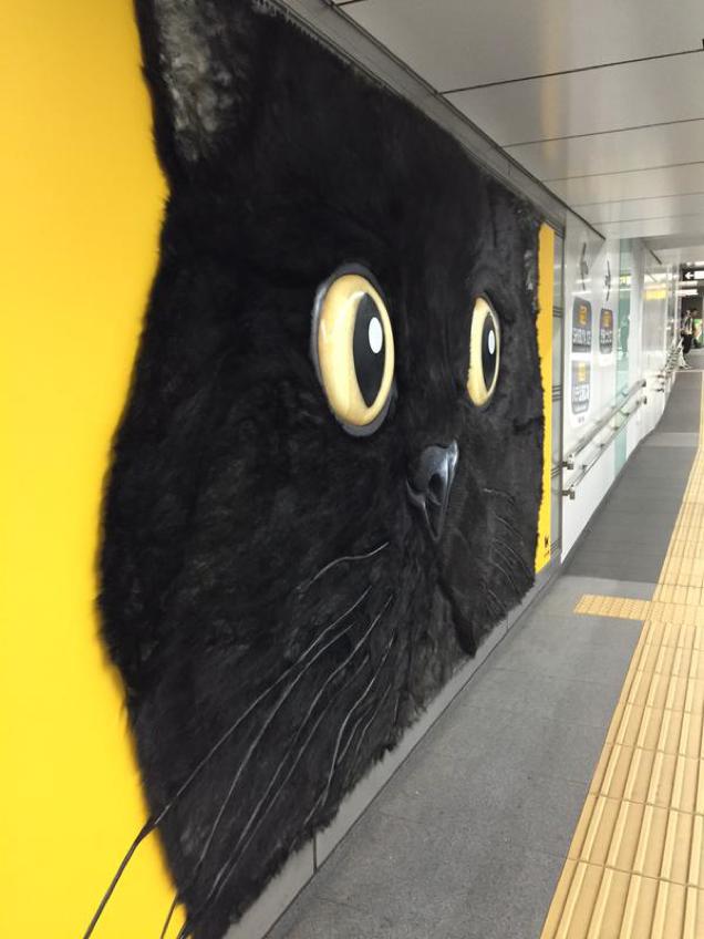 Tokyo’s Giant Cat Billboard Is Big Enough To Pet