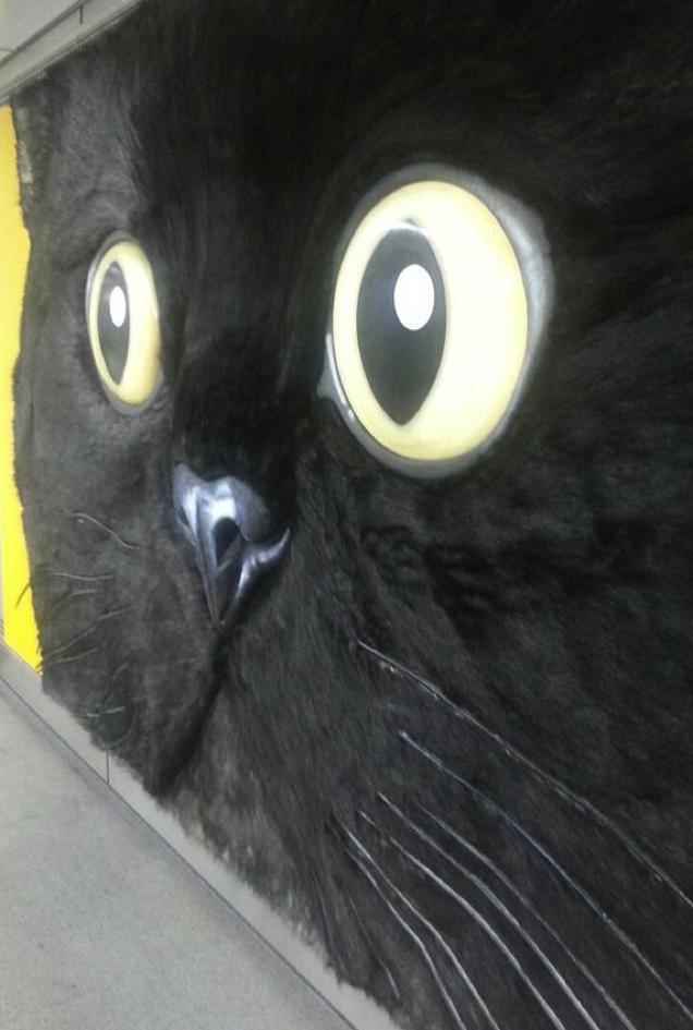 Tokyo’s Giant Cat Billboard Is Big Enough To Pet