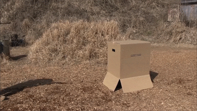 Airsoft Is Much Better With Metal Gear Solid Cardboard Boxes