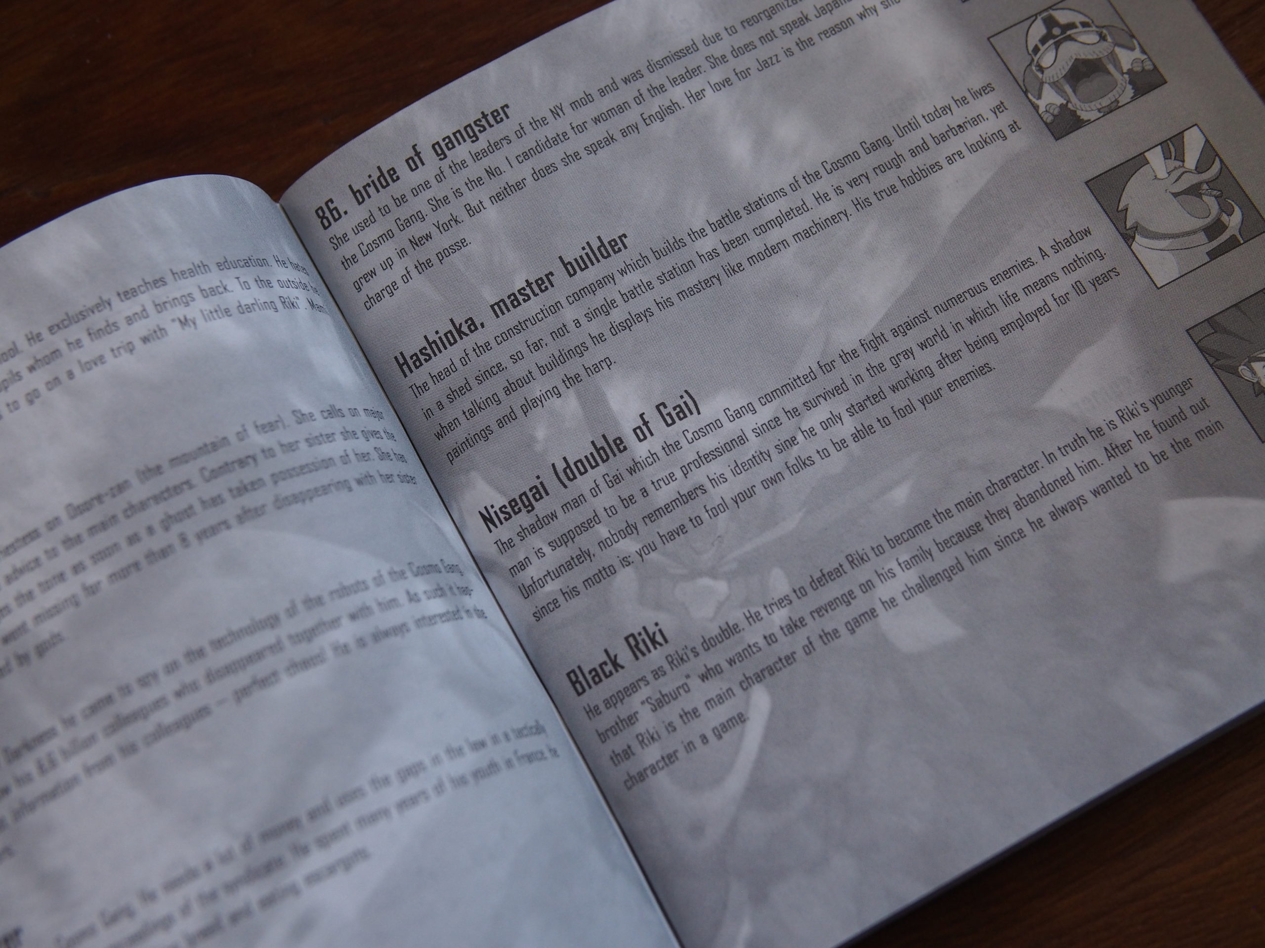 The Beauty Of The Game Instruction Manual