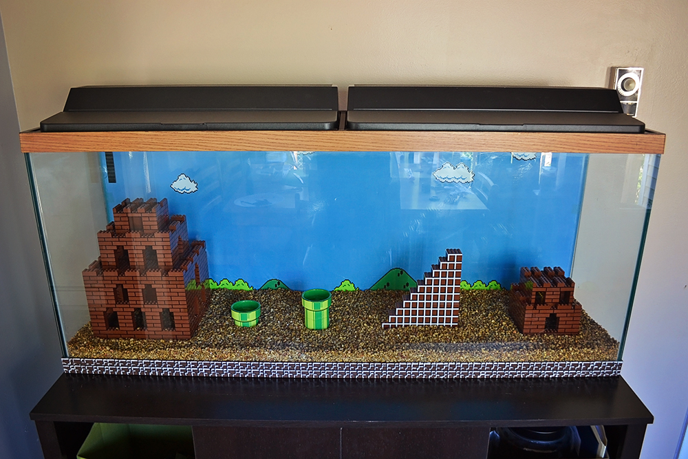 Watch A Super Mario Bros Aquarium Get Built From Scratch