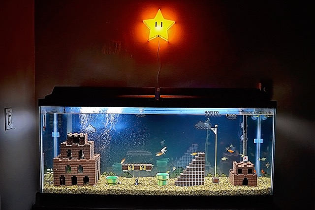 Watch A Super Mario Bros Aquarium Get Built From Scratch