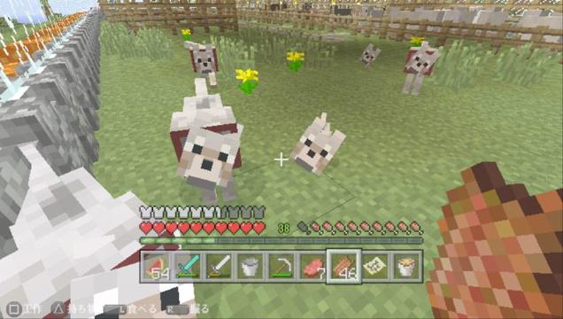 People, Don’t Turn Your Dog Into Real-Life Minecraft 