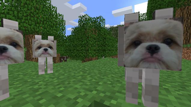 People, Don’t Turn Your Dog Into Real-Life Minecraft 
