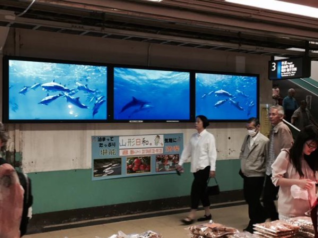 Inside Tokyo’s Infamous Suicide Train Station