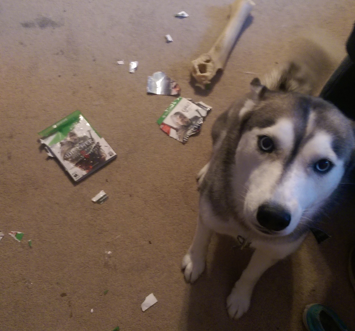 This Dog Was Pretty Mad About The Witcher 3’s Visual Downgrade