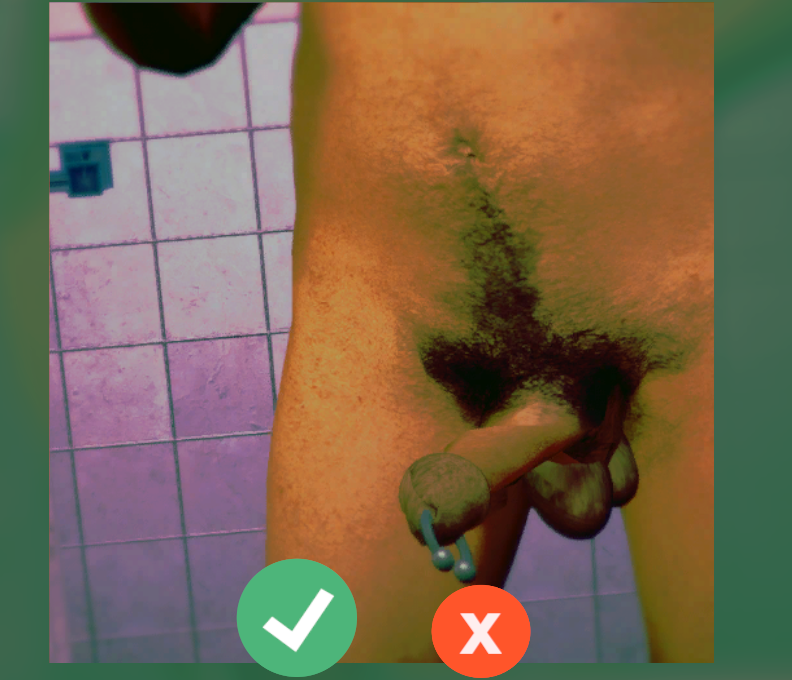 A Game About The Complicated World Of Dick Pics [NSFW]
