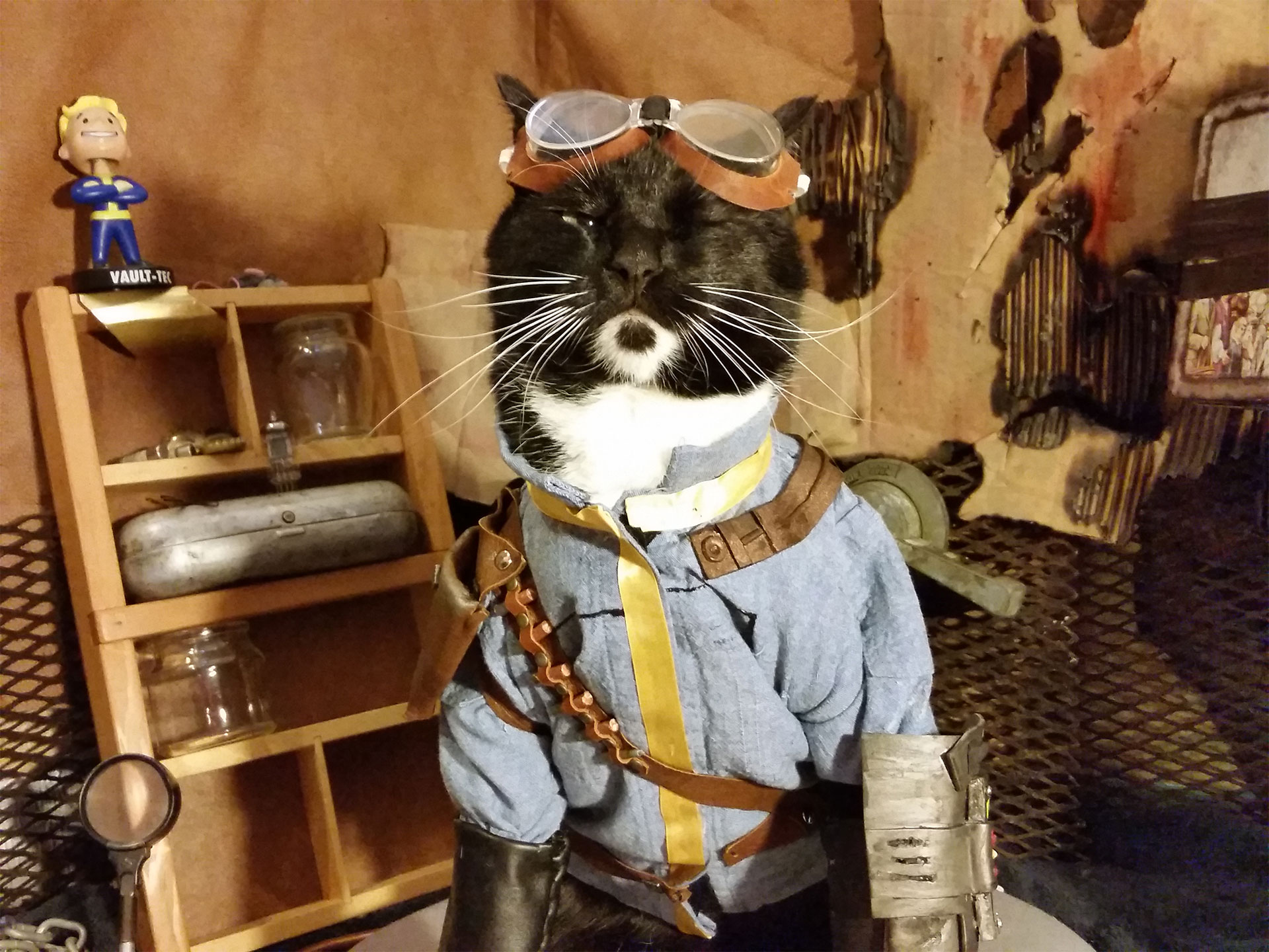We’ve Had Enough Fallout Dogs. It’s Vault Cat’s Time. 