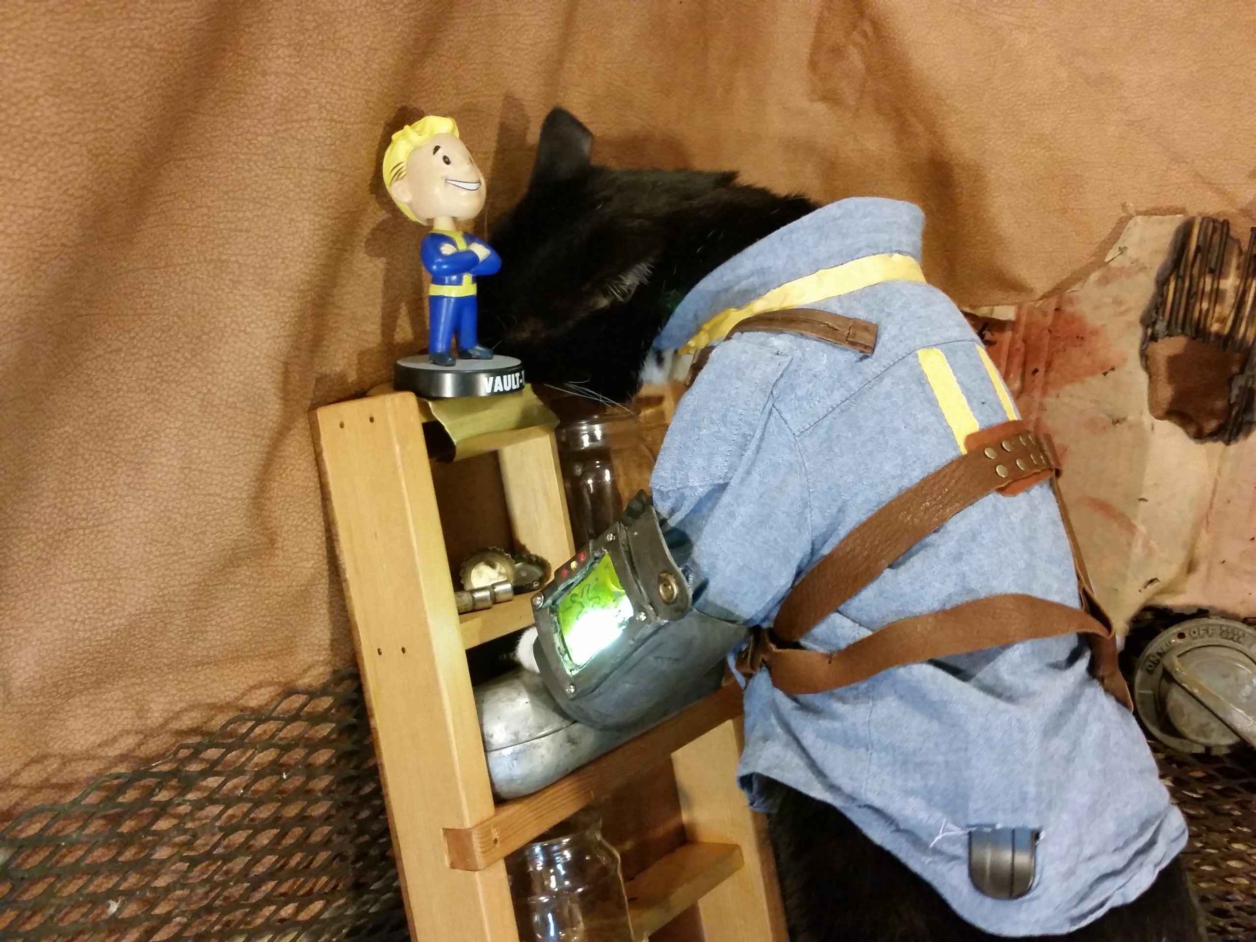 We’ve Had Enough Fallout Dogs. It’s Vault Cat’s Time. 