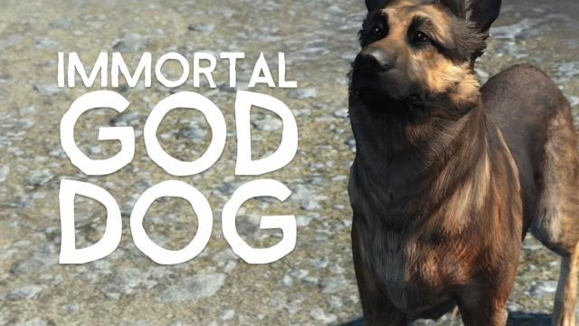 Fallout 4’s Dogmeat Cannot Die