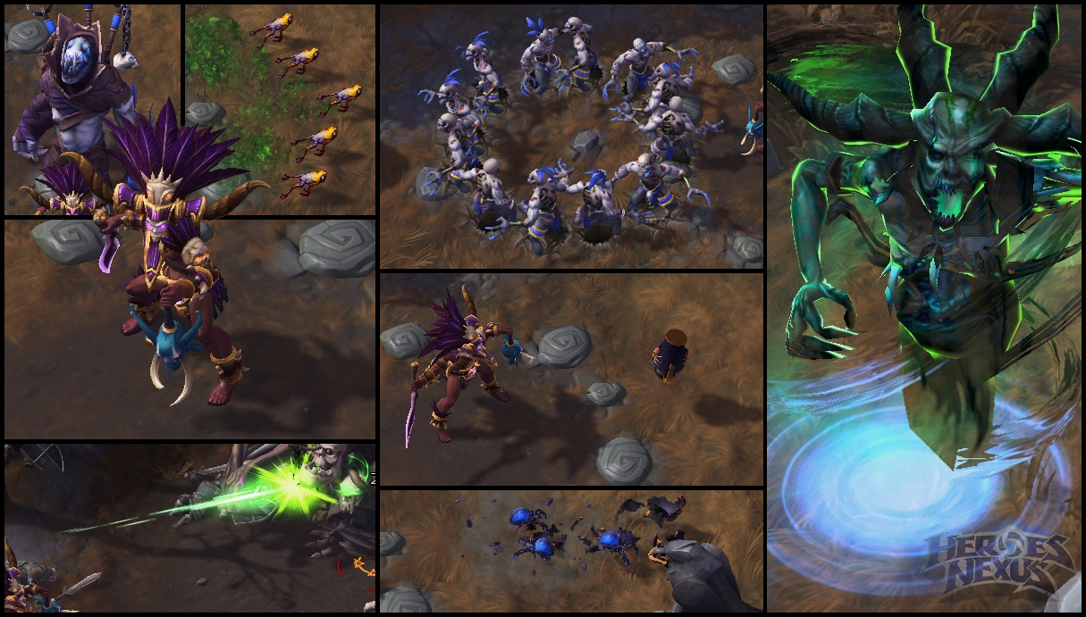 Heroes Of The Storm Inspired A Character Change In Diablo III