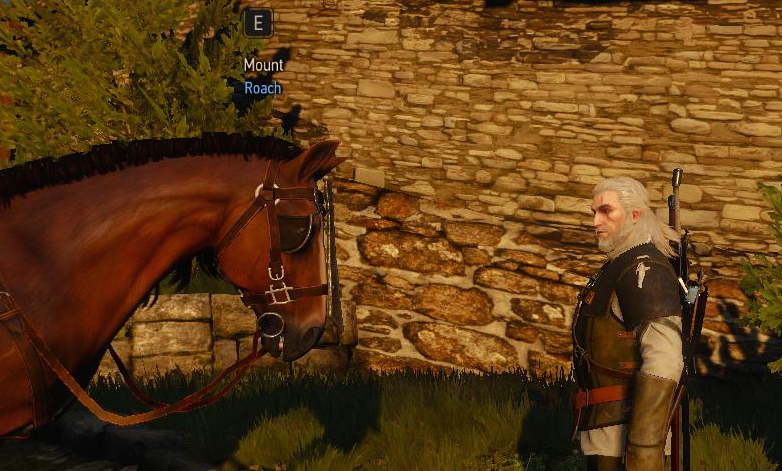 We (Mostly) Loved The Witcher 3’s Ending