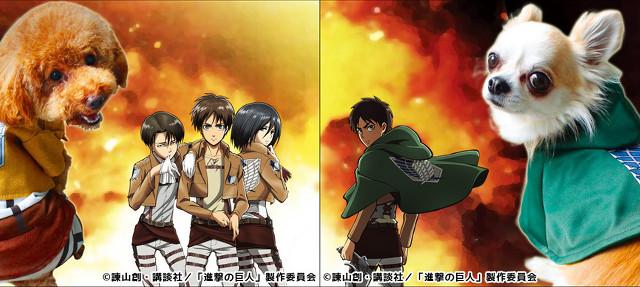 Dogs Get Official Attack On Titan Costumes