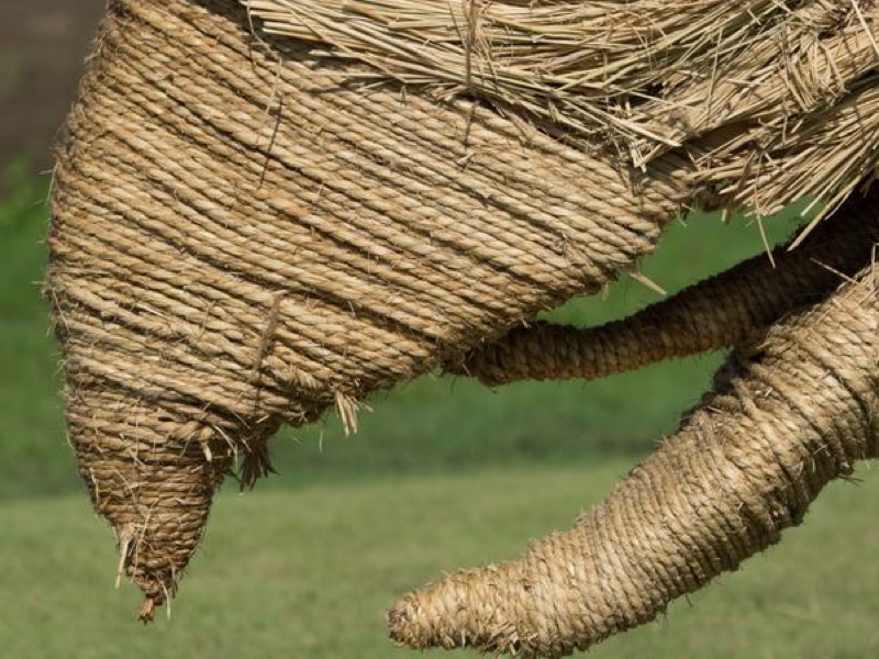Straw Dinosaurs Appear In Japanese Fields, Try To Eat Humans
