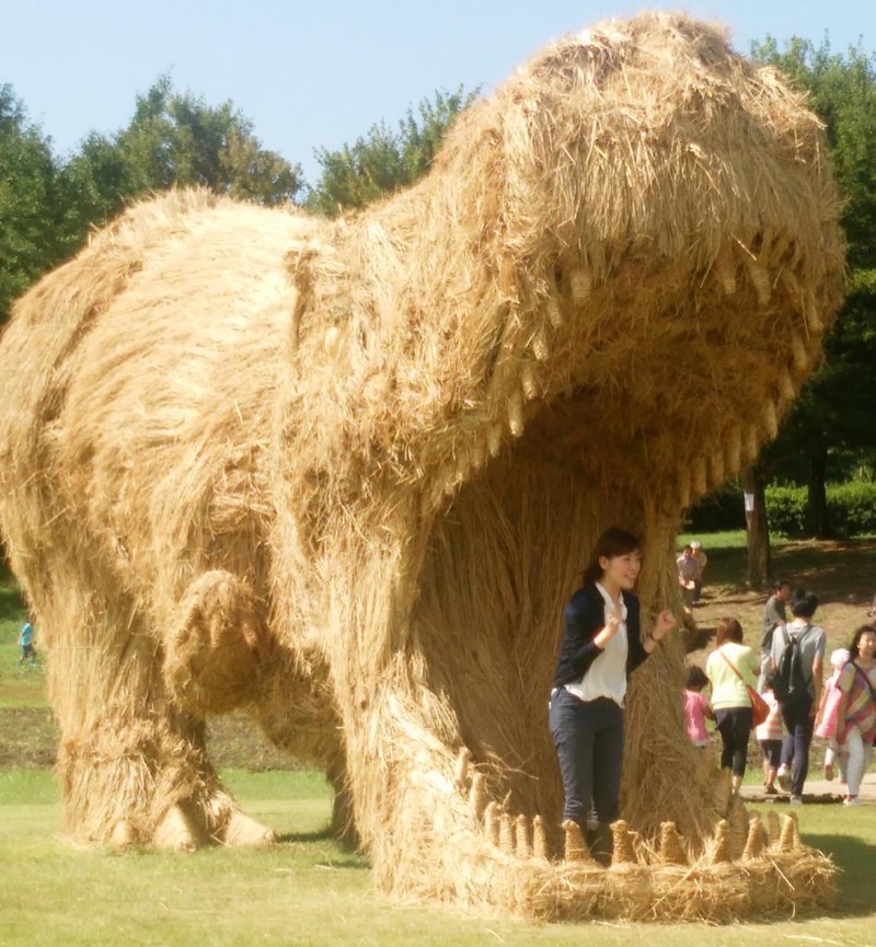 Straw Dinosaurs Appear In Japanese Fields, Try To Eat Humans
