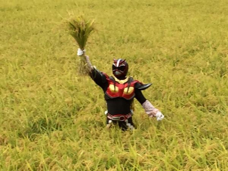 In Japan, There’s A Superhero Who…Plants Rice