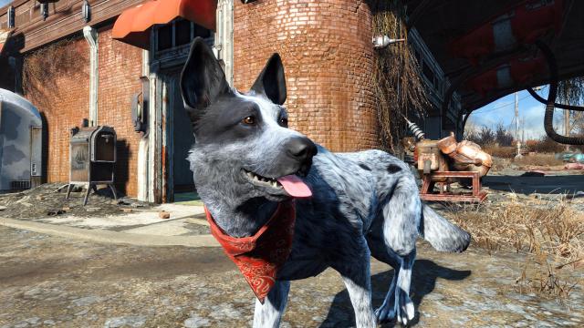 Fallout 4 Fan Mods Their Actual Dog Into The Game