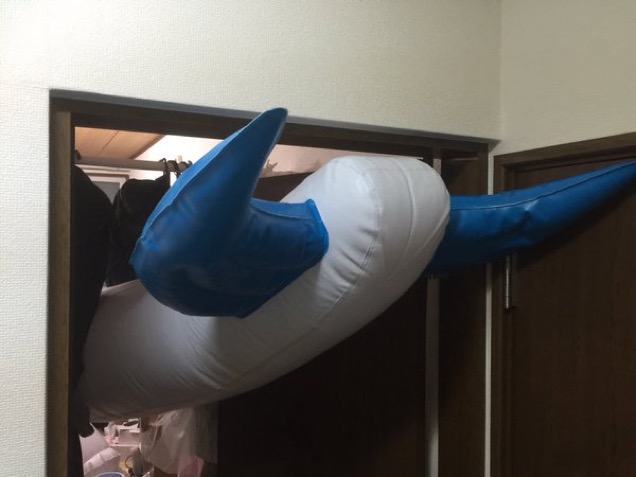 Sometimes, Pokémon Are Too Big For Your Room