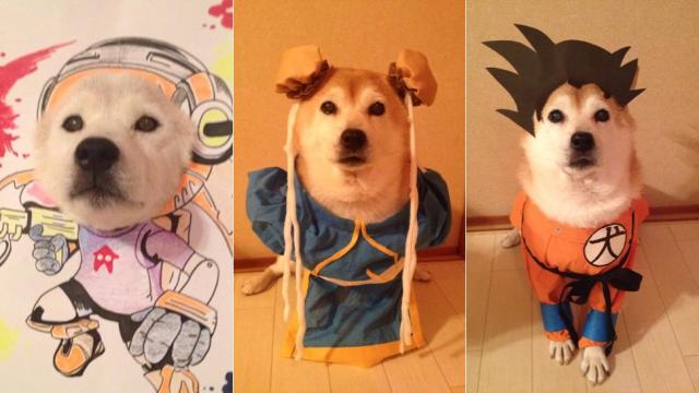 When Doge Is Good At Cosplay