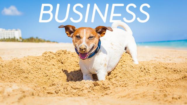 This Week In The Business: Digging Just The Right-Sized Hole
