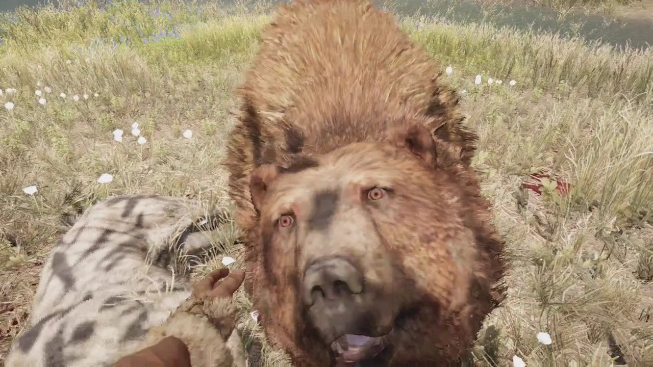 The Dangerous Animals I’ve Petted In Far Cry Primal