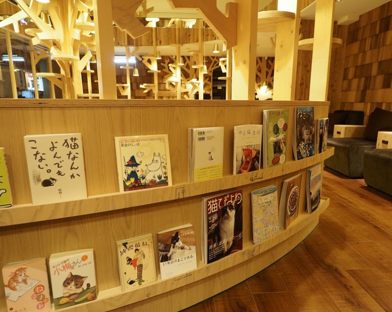 Japanese Cat Cafes Are More Fashionable Than Ever 