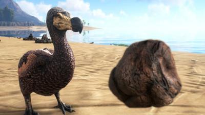 Ark: Survival Evolved Added Poop To Avoid Putting In A Suicide Key