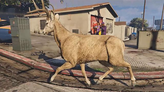 Modded Deer Is Running Buck Wild In GTA V