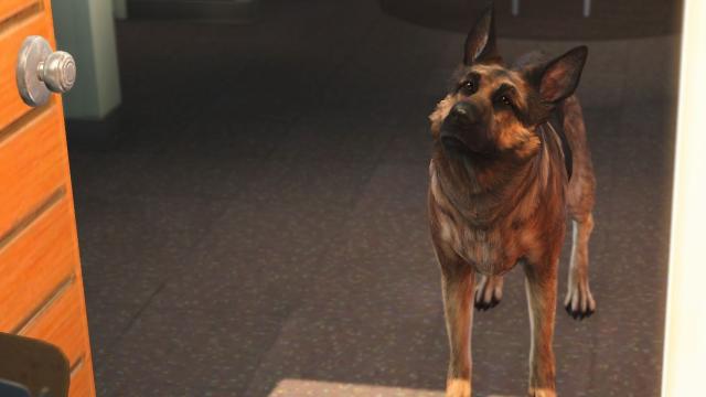 Mod Lets You Play As Dogmeat, The True Hero Of Fallout 4
