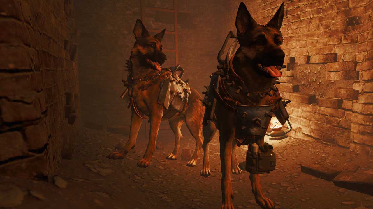 Mod Lets You Play As Dogmeat, The True Hero Of Fallout 4