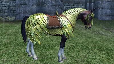 Never Forget Your Horse Armour
