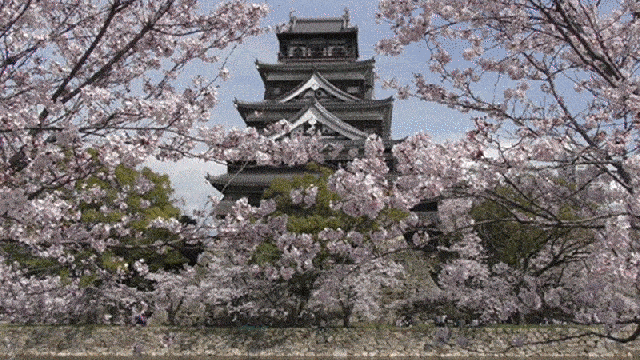 Japanese Castles Look Even Better With Cherry Blossoms