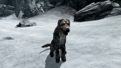 Skyrim Player Says He Went Through Hell Just To Adopt A Virtual Dog