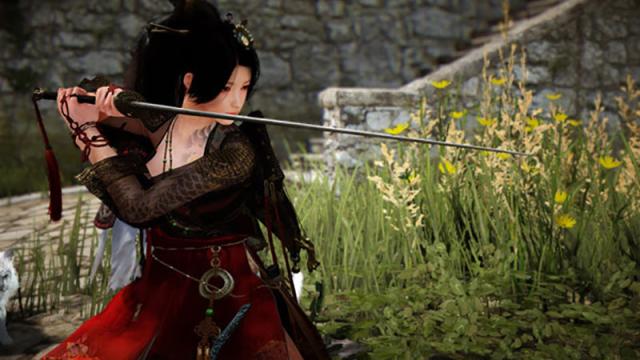 Two New Classes Coming To Black Desert Online Next Week