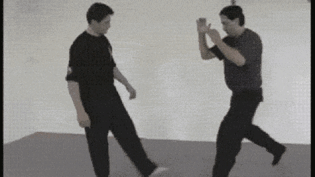 The Beauty Of Martial Arts And Self Defence In GIFs