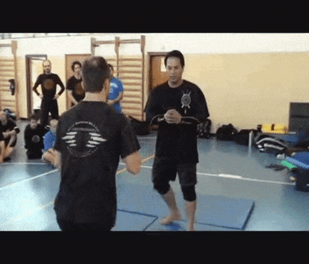 The Beauty Of Martial Arts And Self Defence In GIFs
