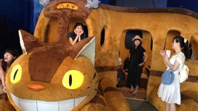 Behold, The Official Catbus For Adults