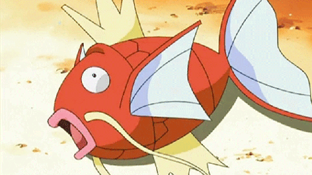 Trainers Who Evolve Magikarps Are The Real Champions Of Pokemon GO