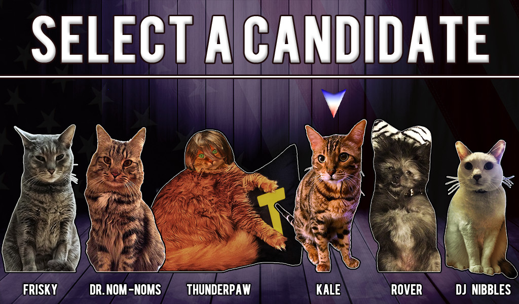 Let’s Play Cat President, In Which Pictures Of Cats Run For President