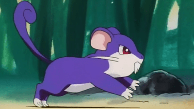 Guy Pulls Off Pokemon Permadeath Run Only Using A Rattata