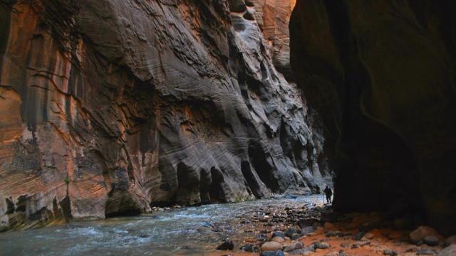 The Narrows Of Zion National Park